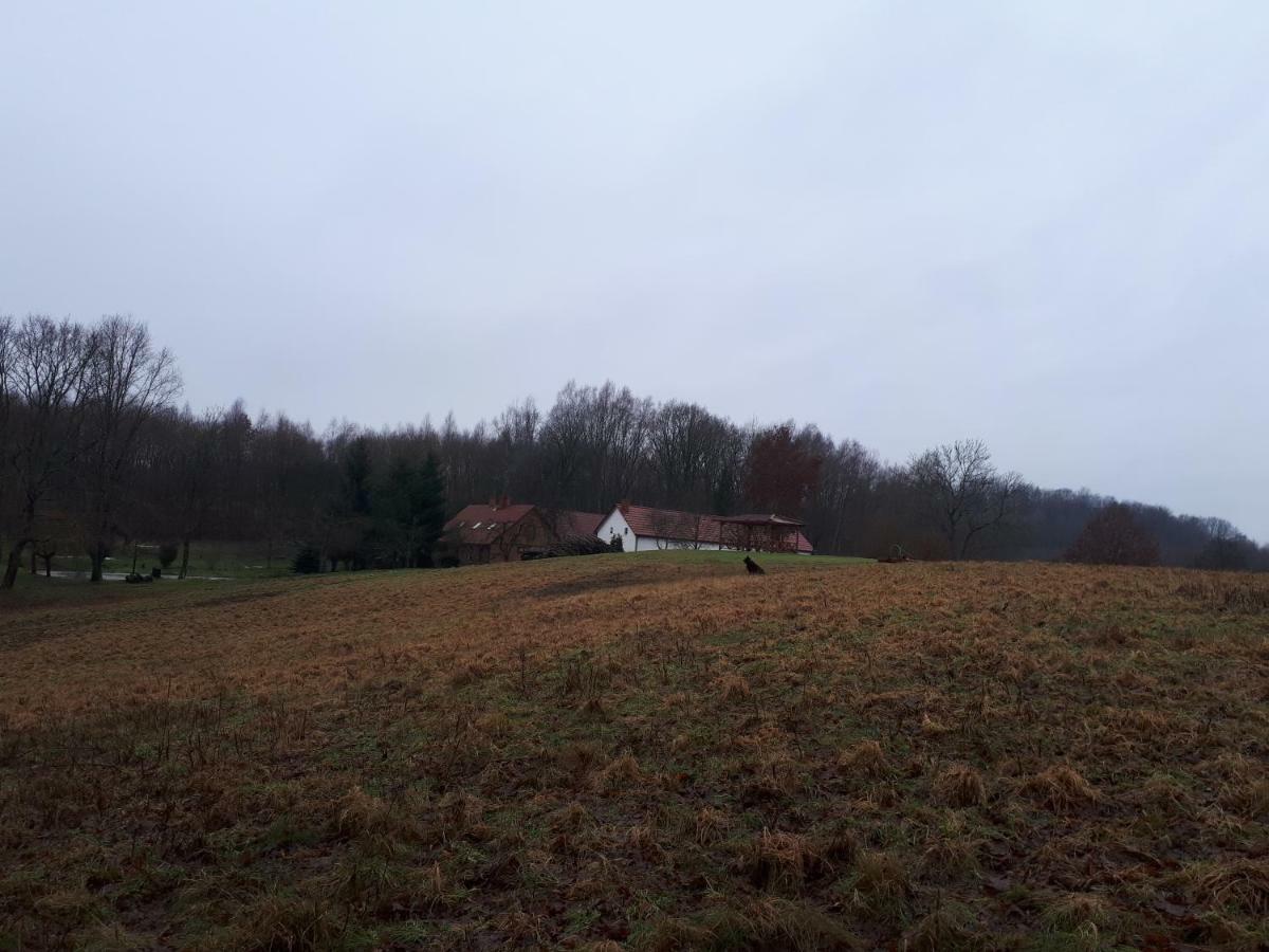 Villa Labadkowo Labedzie Exterior foto
